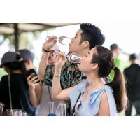 Image Gallery