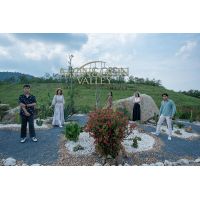 Image Gallery