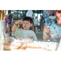 Image Gallery