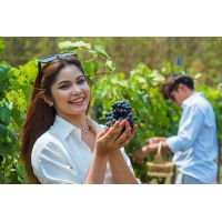 Image Gallery