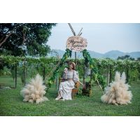 Image Gallery
