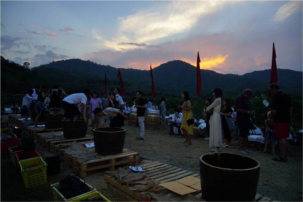 media of monsoonvalley