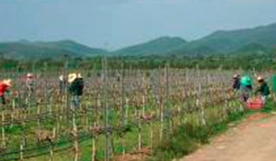media of monsoonvalley