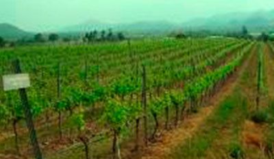 media of monsoonvalley