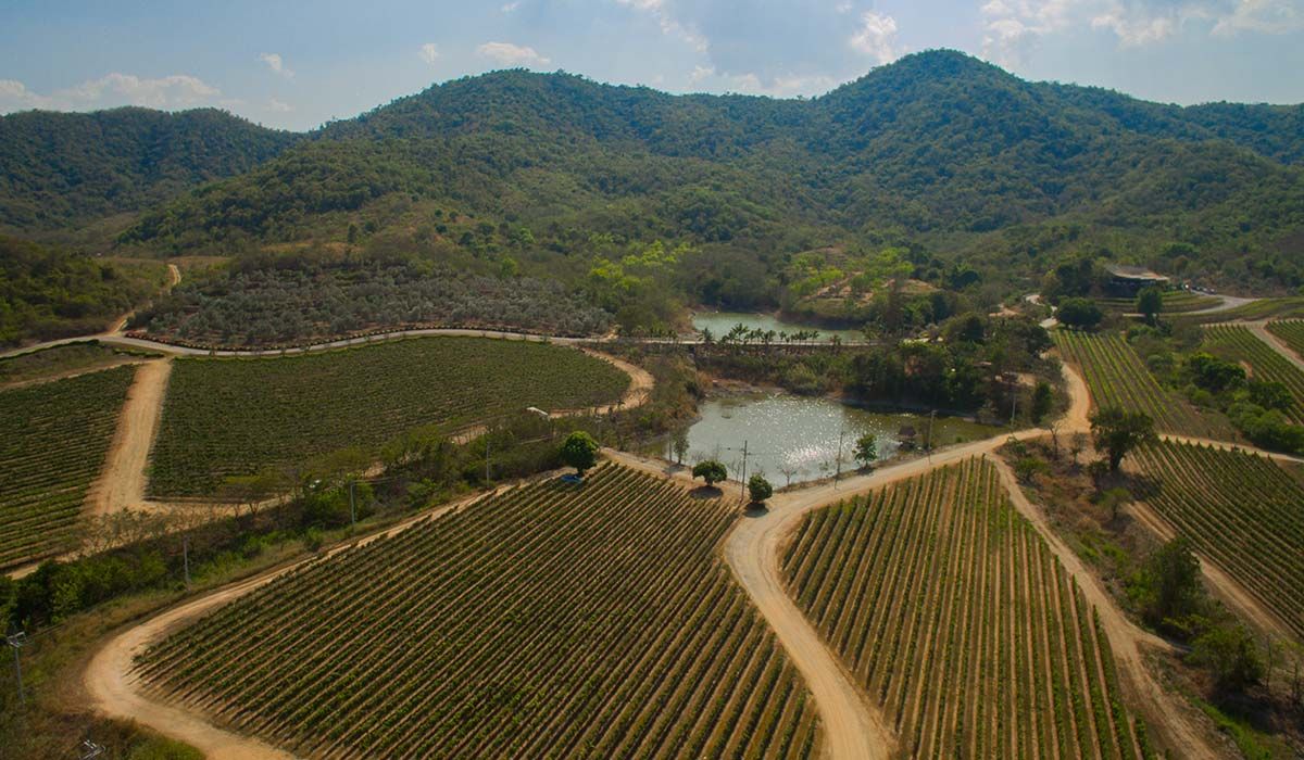 media of monsoonvalley
