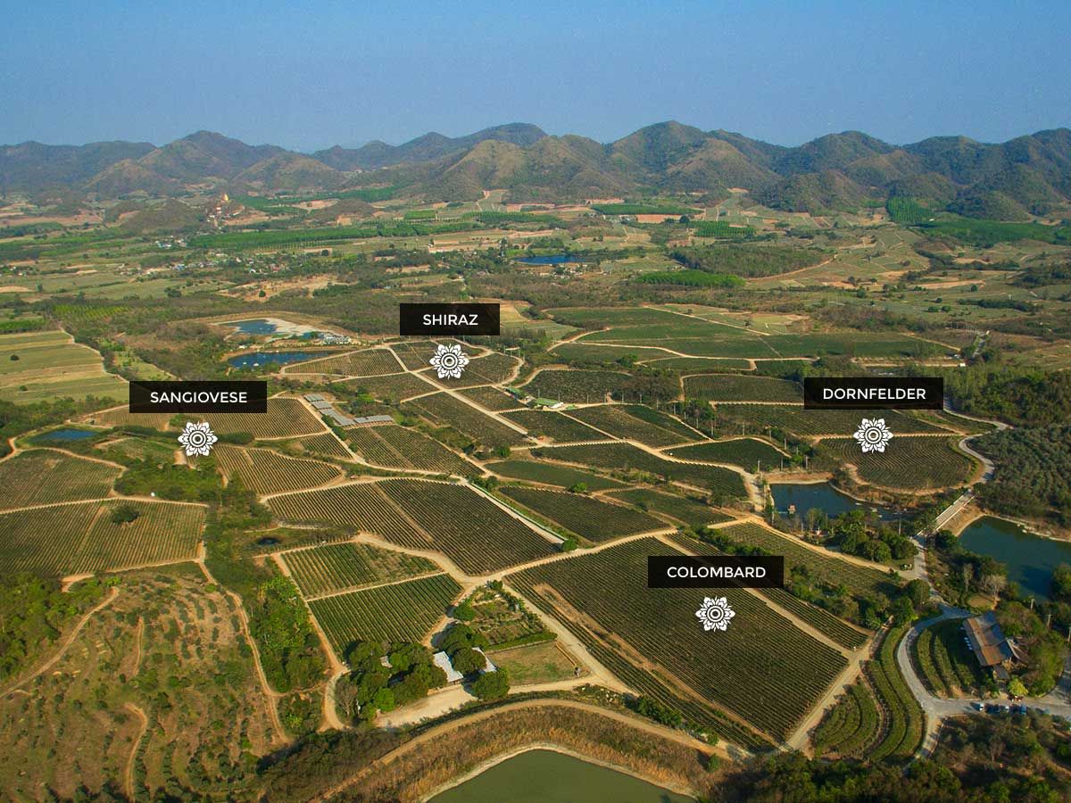 media of monsoonvalley